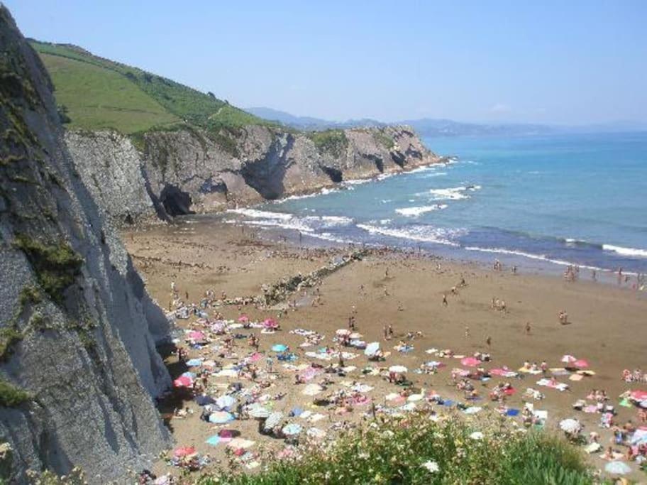 Apartamento Danae Centro Zumaia Exterior foto
